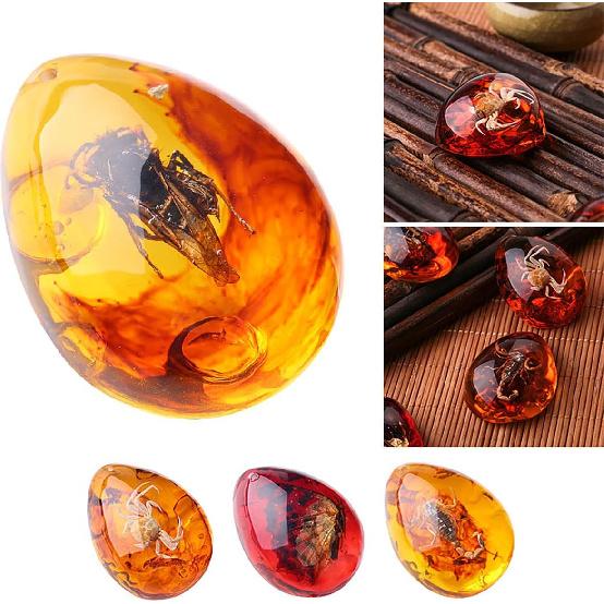 Queenbox Resin Amber Insect Pendant Butterfly Fossil Samples Stones Crystal Home Decorations and Jewelry Making