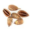 Rattan DIY Craft Kit: Cute Peapod Doll Pendant Material Pack