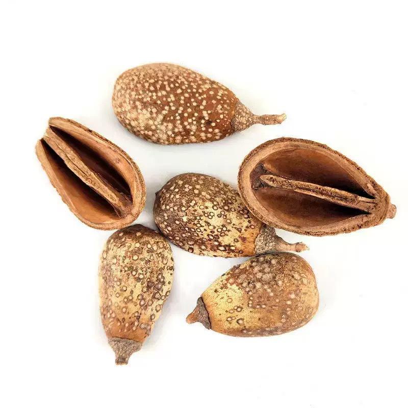 Rattan DIY Craft Kit: Cute Peapod Doll Pendant Material Pack