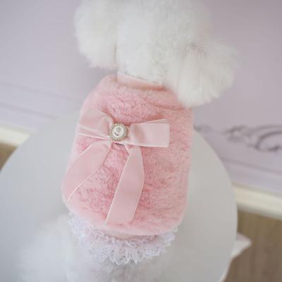 Zweiteiliges Set Luxus-Winter-Hundekleidung Dicker Prinzessin Chihuahua-Mantel für kleine Hunde Teddy Pet Ropa Para Perro Pequeño