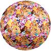 Winx Club Theme Size 5 Soccer Ball, Suitable for Both Indoor and Outdoor Matches, a Gift Suitable for Everyone.