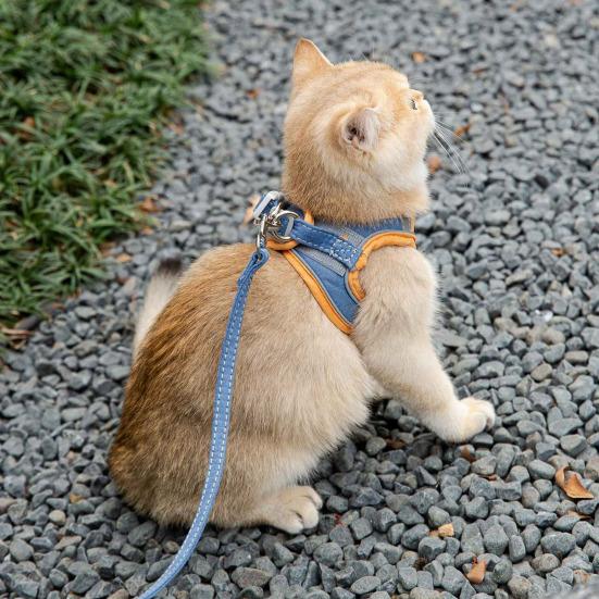 Pet Harness Cat Halter Soft Breathable Vest with Cat Leash Reflective Safety Harness for Outdoor Walking And Traveling