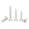 Bangdafu 304 Stainless Steel Phillips Flat Head Self-tapping Screws