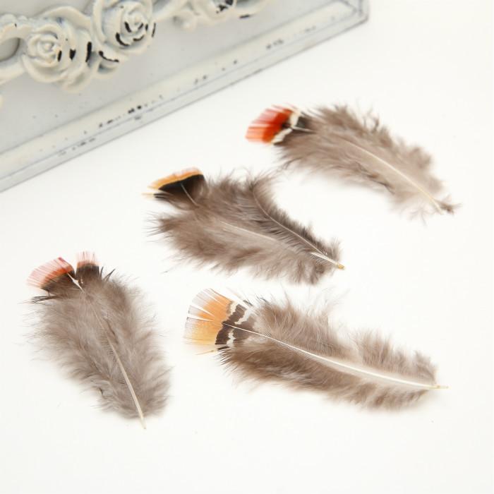 50Pcsdiy Jewelry Accessories Feather Diy Feather Headdress Corsage Hat Shoes Handicrafts Decorative Materials