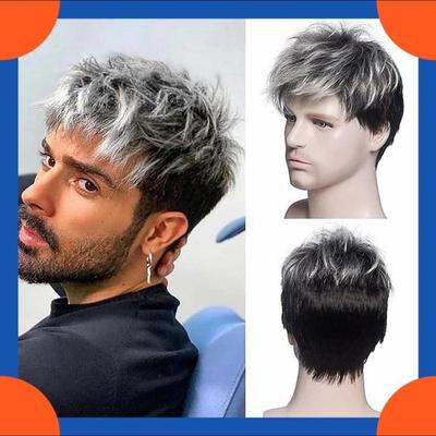 2025 Europäische Mode Perücke Kurze Gerade Perücke Für Männer HW710