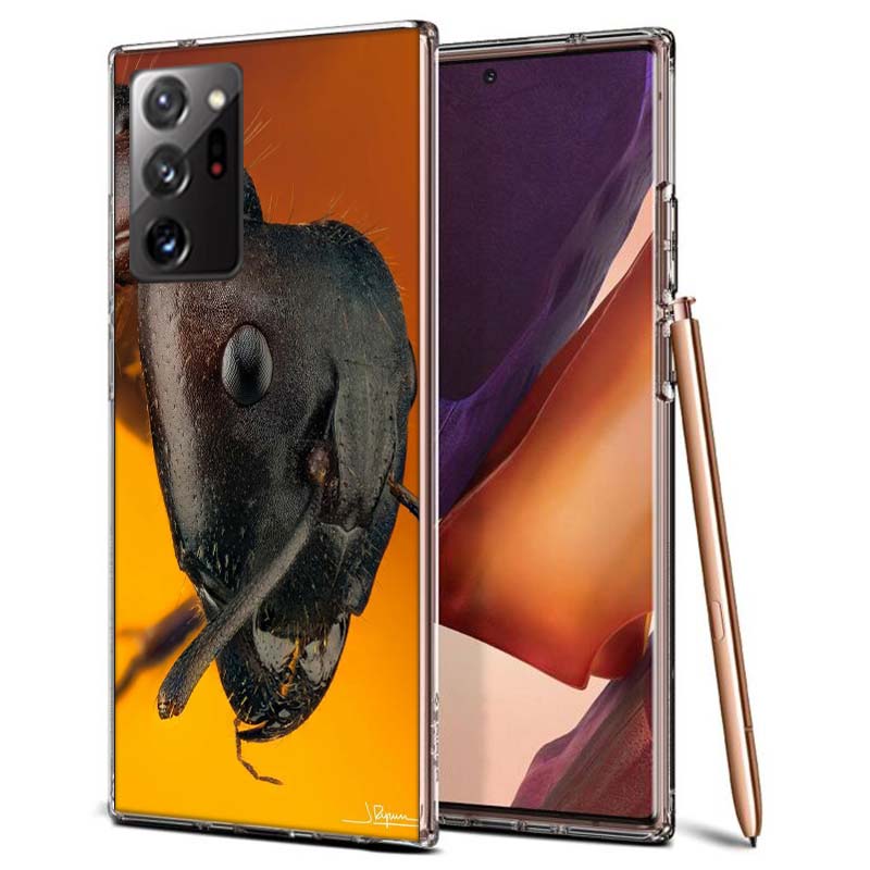 Red Fire Ants, Worker Ants Phone Case for Samsung A55 A35 A25 A15 A07 A05S A16 A17 A26 A36 A37 A56 A57 Galaxy Note 20 10 A50S A7