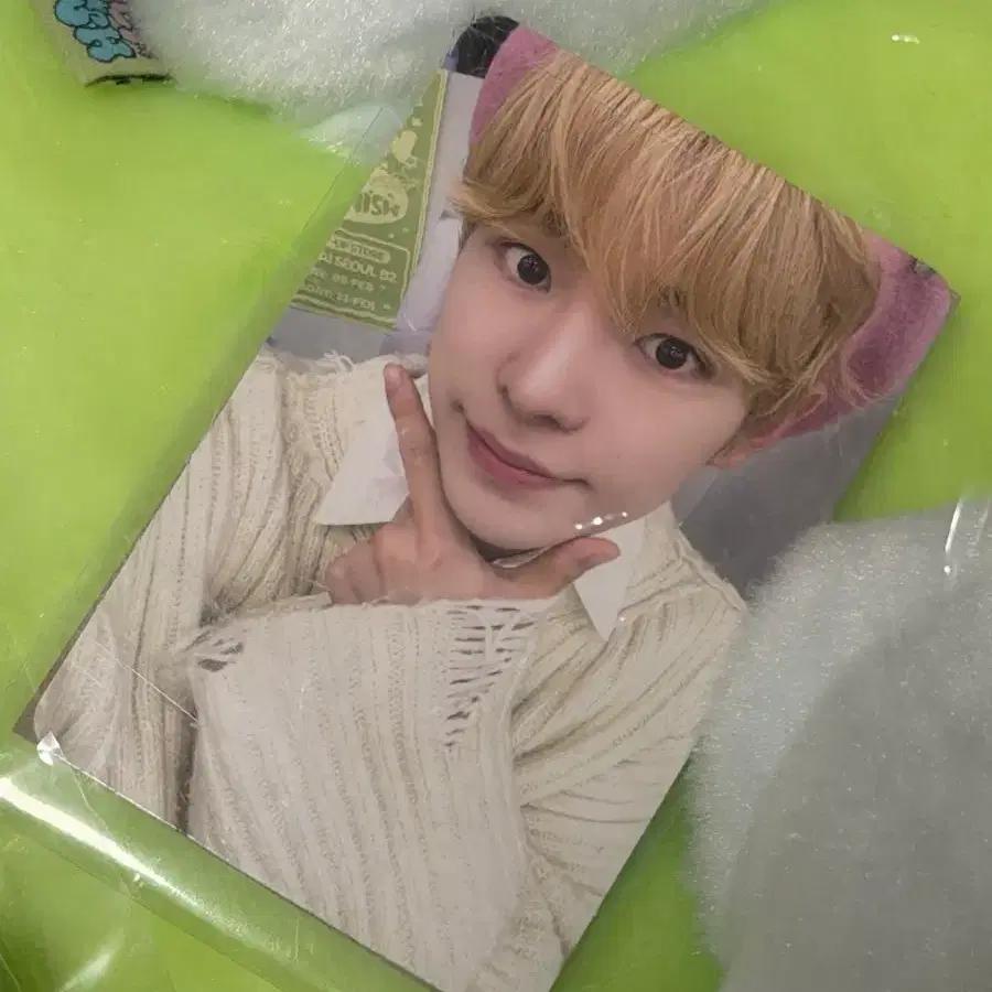 NCT Wish We You Cushion Photocard You Moocy Version