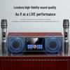 Soaiy SA-X15 Home KTV Karaoke System with Dual Microphones