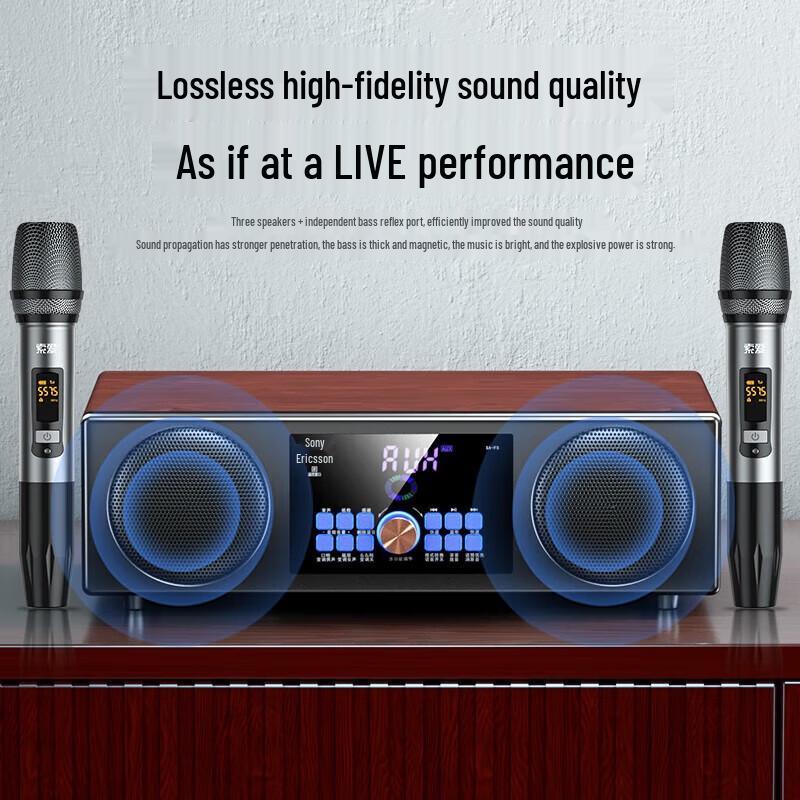 Soaiy SA-X15 Home KTV Karaoke System with Dual Microphones
