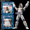 BANDAI SPIRITS (Bandai Spirits) Figure Rise Standard Kamen Rider Fourze Base States Color Coded P...
