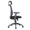 Iris Plaza Bürostuhl Stuhl Schreibtischstuhl Kopfstütze Netzstuhl Polyester Schwarz x Schwarz OFC-08