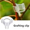 20/50/100 Pcs Grafting Clip Vegetable Fruit Plant Graft Clip Garden Plant Seedling Tools Transparent Plastic Joint Garden Tools
