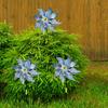 8Pcs Bird Repeller Pinwheel Reflective  Garden Plant Flower Bird Repellent Windmill Garden