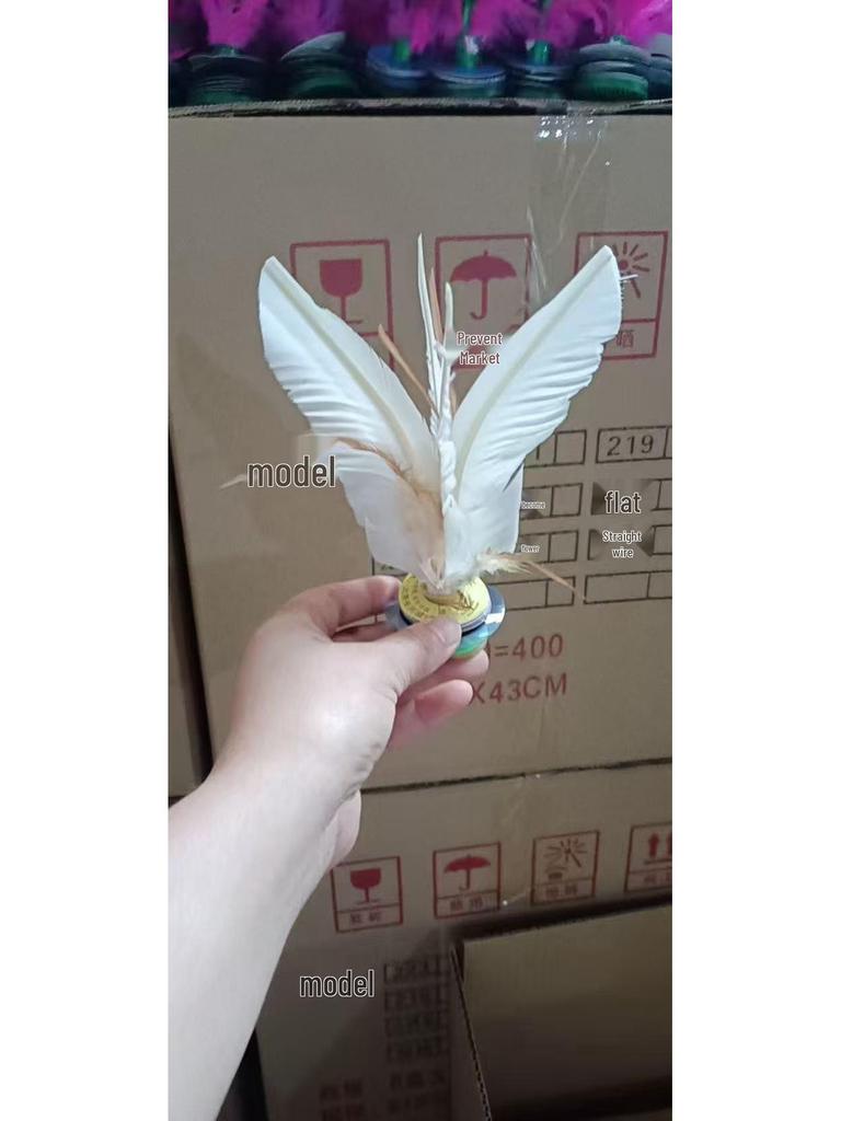 Jianzi Coloré à Plumes pour Étudiants - Grand, Plume d'Oie