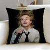 music work Nettspend We Not Like You Cushion Cover Soft  EasyWash Pillow Case  Versatile for Couch Bed Travel and Office
