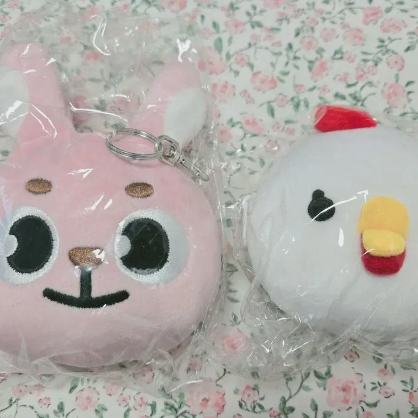 

DAY6 Пауч J Eaj Formulation