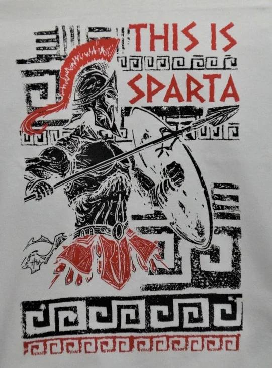 

This Is Sparta Spartan 300 Warriors King Leonidas TShirt 100 Cotton ONeck Short Sleeve Summer Casual Mens Tshirt Streetwear 4XL