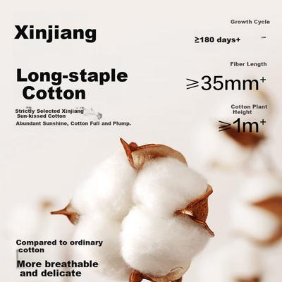 Jingshumian Jingdong, Own Brand Cotton, Long-Staple Cotton 7A Casual Sports Straight-Leg Men's Socks, 5 Pairs