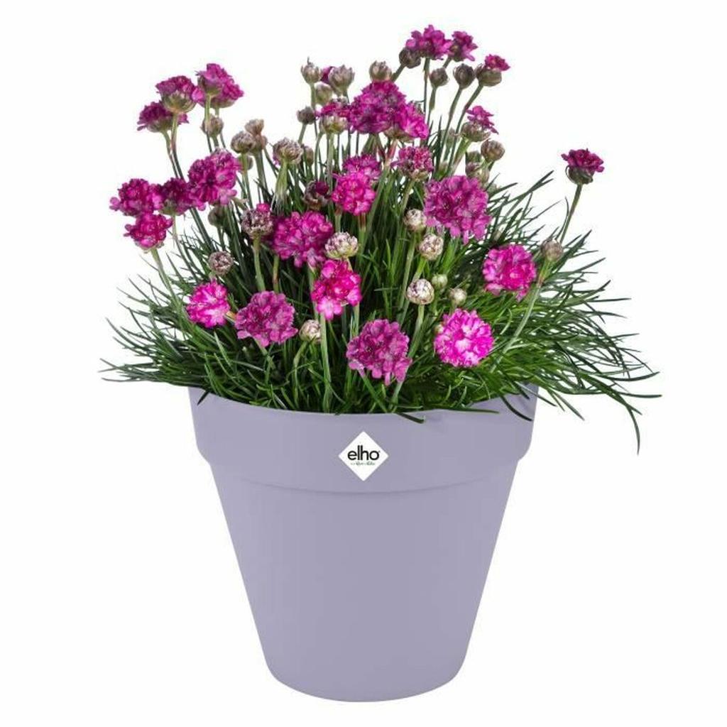Plant pot Elho