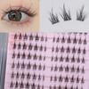 Denivyse - Natural Multipack False Eyelashes Cluster