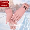 Leather Thick Thermal Trendy Touch Screen Mittens Full Finger Gloves Women Gloves Winter Gloves