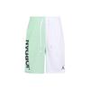 Jordan Casual Shorts Men's Mint Green Moderate DV5030-379