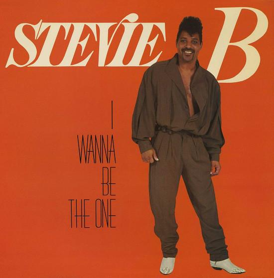 12inch Record STEVIE B I Wanna Be The One LMR4003 LMR 1988 US Dance Electronica Used