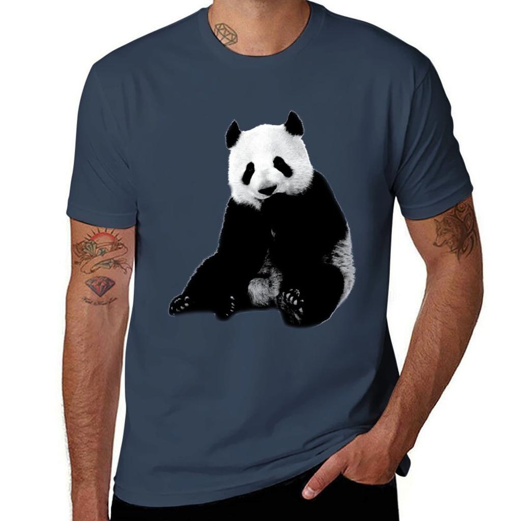 Cute Little Panda Bear Real Animal Tshirt Nonshrink Basic Cotton Tshirt
