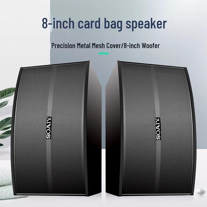 Soaiy CK-M66 Professional Home KTV & Theater System