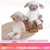 TOMMYFIELD Sheep Plush Toy, Birthday, Christmas Gift, Room Decor for Kids and Adults (White) [Used]