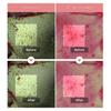 Medicube Crème solaire PDRN Tonifiant Rose 50ml  (3 Options)
