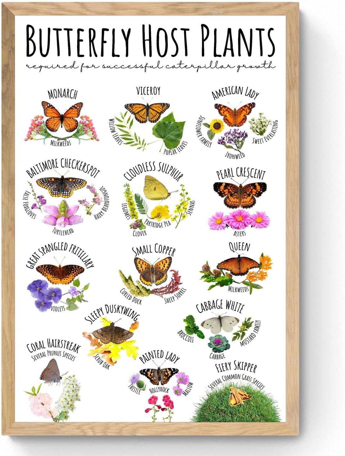 

Retro Metal Tin Sign Host Plants Poster Nature Science Poster Garden Wall Art Classroom Wall Decor Giftaluminum 20x30cm（7.8x11.8inch）