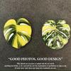 Green refrigerator stickers for home decoration. Interesting home decorations can give people small gifts