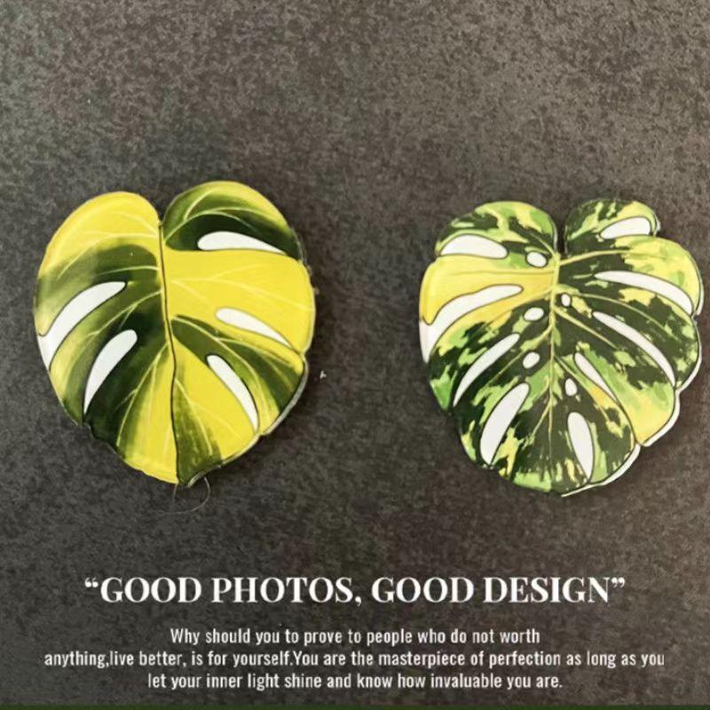 Grüne Kühlschrankaufkleber zur Heimdekoration. Interessante Heimdekorationen können Menschen kleine Geschenke machen