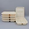 Compostable 3-Compartment Takeout Lunch Boxes