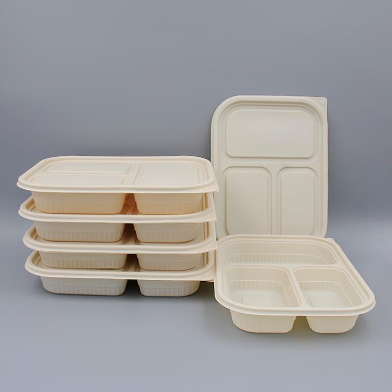 Compostable 3-Compartment Takeout Lunch Boxes
