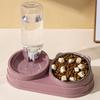 Automatic Double Bowl Pet Feeder: Slanted Stainless Steel Bowl for Cats & Dogs