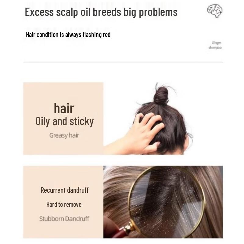 Sen Zhi Lu Camellia Seed Oil Control Shampoo