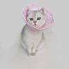 Protective Cat Anti-licking Circle Adjustable Pet Recovery Cone Pet Cone Collar  Recovery