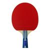 Butterfly Table Tennis Tomokazu Harimoto Kids 16960 Children's Racket, 1800, Shakehand, 5-Ply Plywood, Pre-Strung,