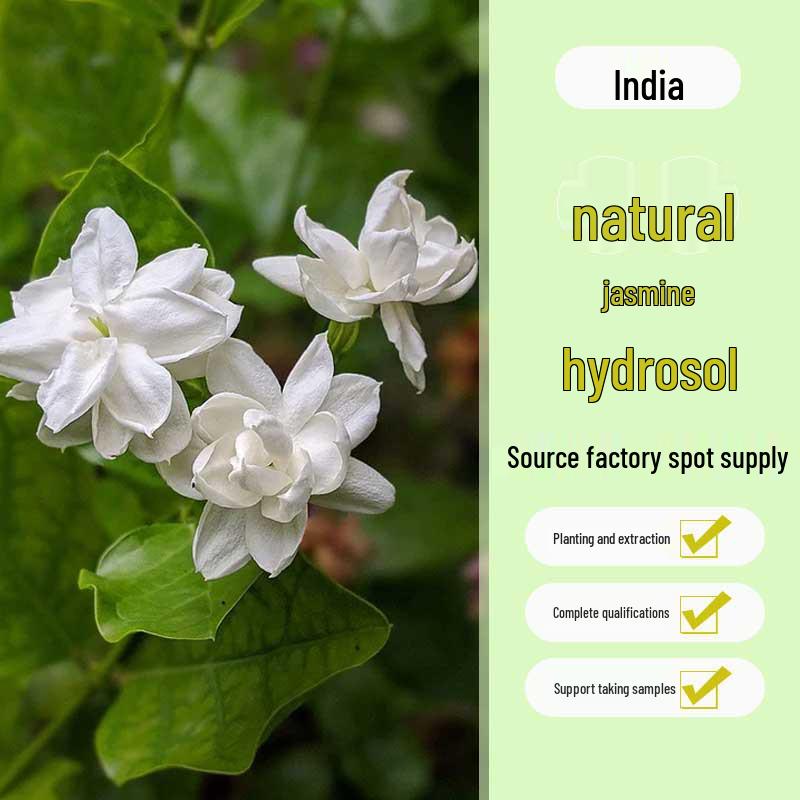 

Jasmine Hydrosol: India-Region Facial Moisturizing and Hydrating Skincare
