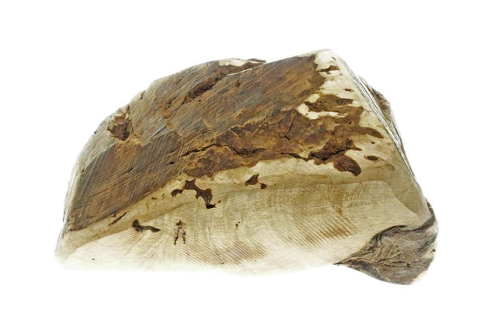 Briar Root Chew 4DOGS Size XXL