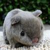 18cm Simulation Plush Hamster Animal Plush Stuffed Doll Toy Home Sofa Decor