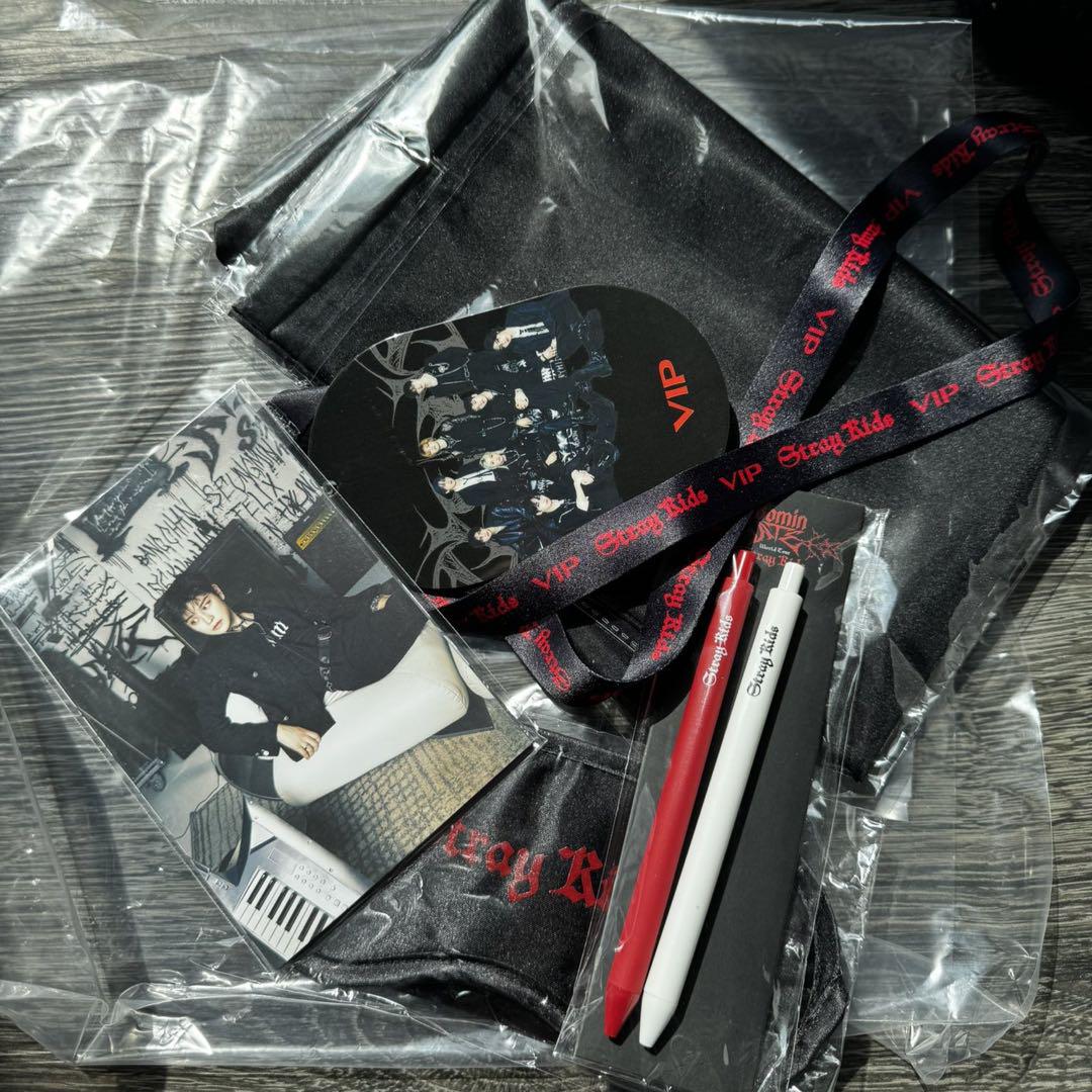 

[Б/У] Stray Kids VIP Европа Мерч DominATE Полный