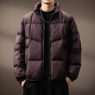 Men's Premium 90% White Duck Down Stand Collar Winter Jacket 2025 - Windproof, Warm, and Simple Design.
