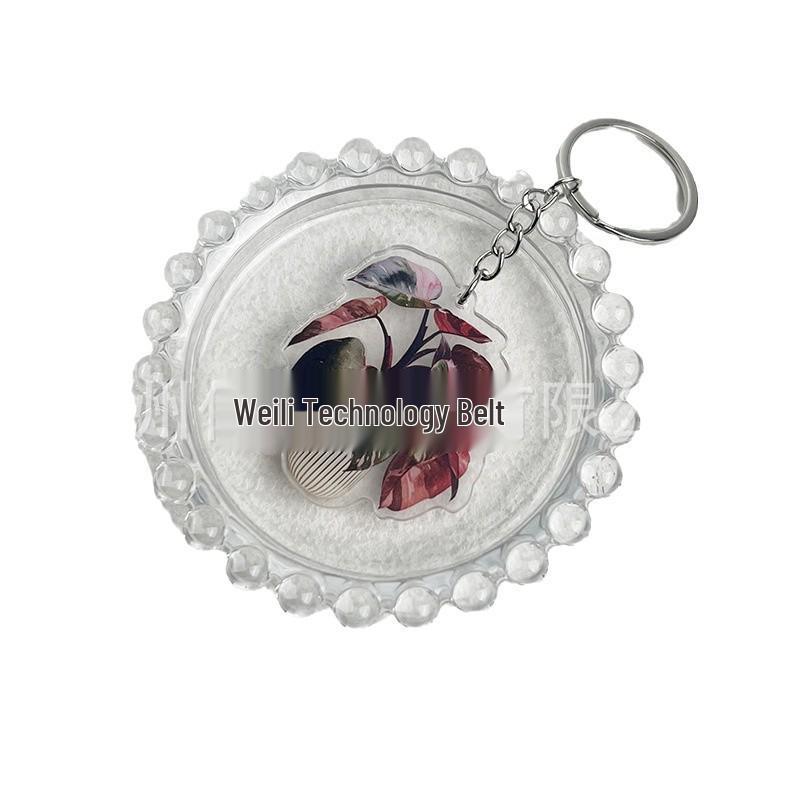 Bonsai Plant Acrylic Keychain Ornament - Double Layer Pendant Bag Accessory