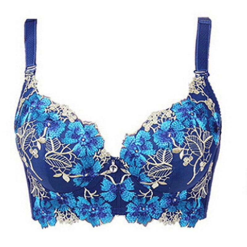 FallSweet Embroidery Bra for Women Sexy Push Up Brassiere C D Cup Underwear