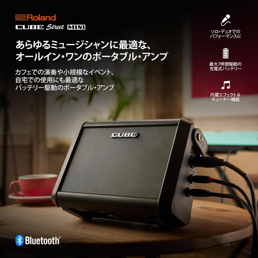Roland CUBE Street Portable Mini Amp for and Vocal for Easy Live PA MINI/CUBE-ST-MI Amplifier, Guitar, Keyboard, Microphones,