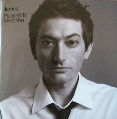 CD JAMES - Pleased To Meet You 5861472 Mercury Europe Rock Begagnad