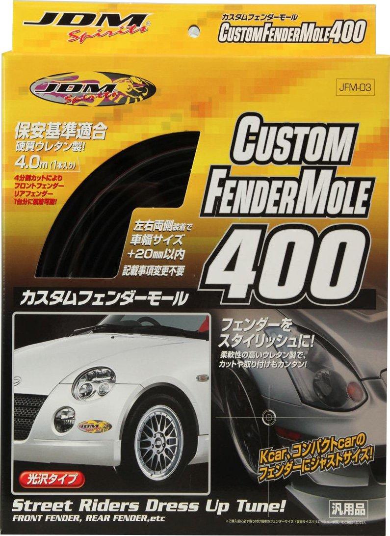 

FORTUNE Custom Fender Mould for 400 JFM03 [Part Number]